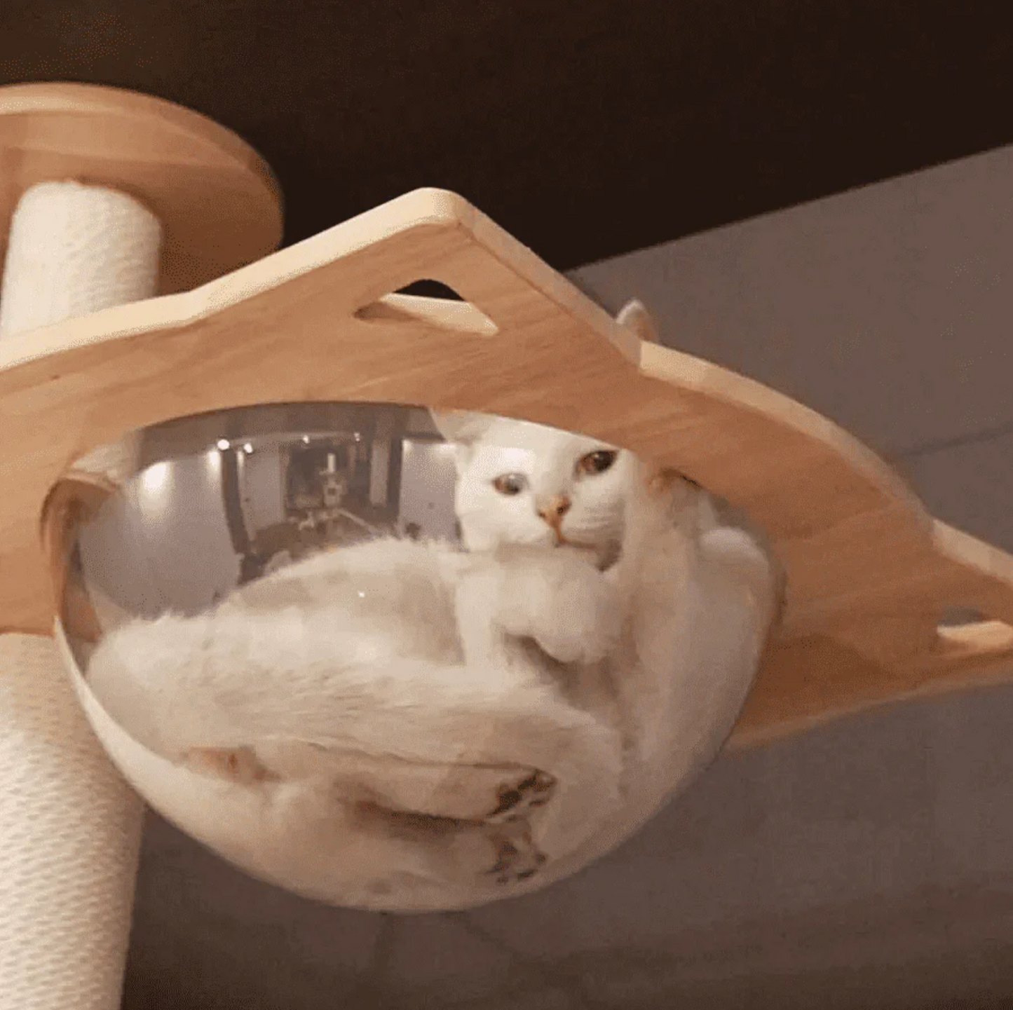 Clouds Deluxe Solid Wood Cat Tree
