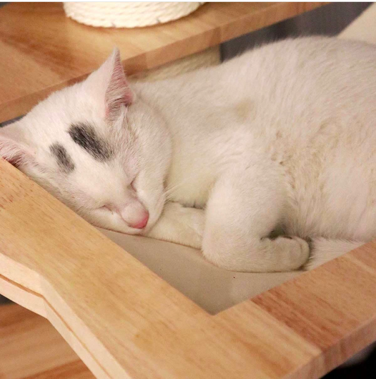 Clouds Deluxe Solid Wood Cat Tree